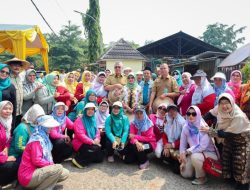 Pemkot Tangsel Tanam 2 Ribu Bibit Cabai dan Terong