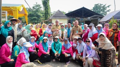 Pemkot Tangsel Tanam 2 Ribu Bibit Cabai dan Terong