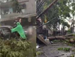 Pohon Tumbang di Tangsel Diterjang Hujan Angin Kencang