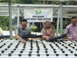 Pemkot Tangerang Salurkan Benih Sampai Sarana Hidroponik