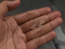 Hujan Es Kembali Guyur Tangerang Akibat Dipole Mode Negatif