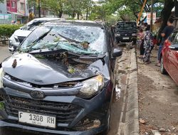 Hujan Deras Akibatkan Tiga Pohon Tumbang di Tangsel